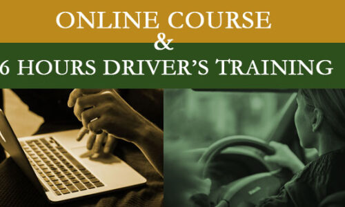 Online Driver Education Course with 6 Hours of Training